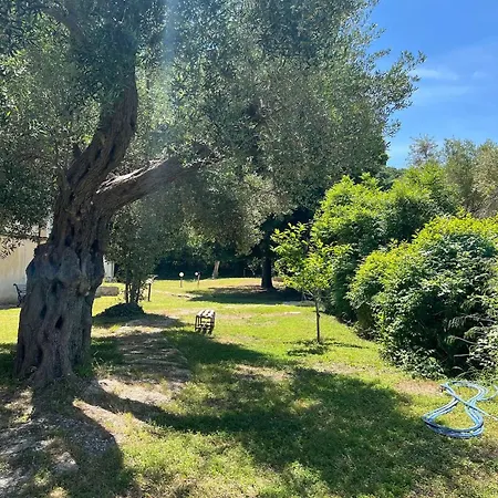 Lägenhet Polyhrono Family Retreat By Laonikos - Sleeps 5 Polikhronon