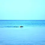 Polyhrono Family Retreat By Laonikos - Sleeps 5 بوليخرونو
