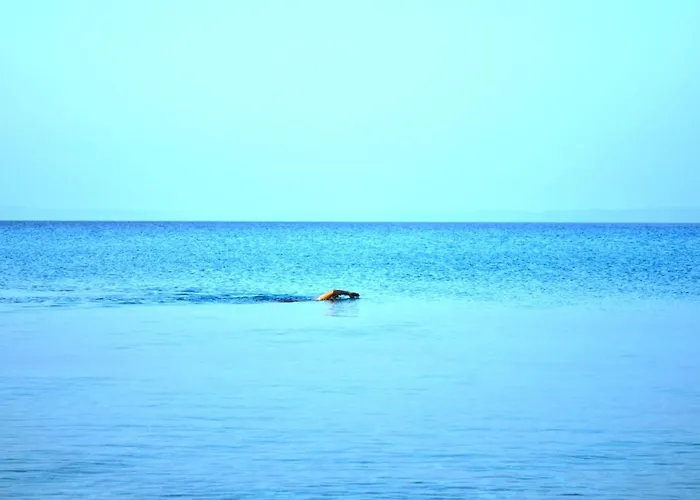 Polyhrono Family Retreat By Laonikos - Sleeps 5 Polychrono